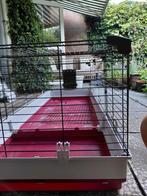 Konijnen/caviahok in goede staat met toebehoren, Dieren en Toebehoren, Ophalen, 110 cm of meer, 60 tot 90 cm, Cavia