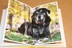 Oude Wijze Honden — Wijsheid van Honden, Ophalen of Verzenden, Zo goed als nieuw, Honden