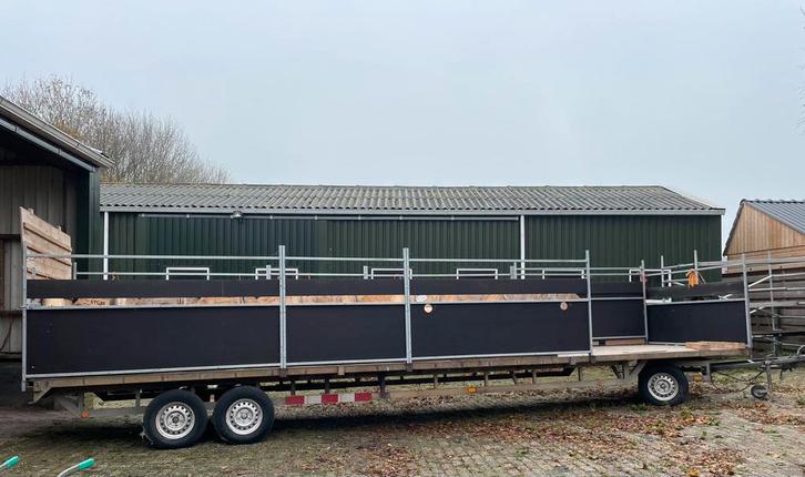 Een solide degelijke schapenkar, Dieren en Toebehoren, Schapen, Geiten en Varkens, Schaap, Meerdere dieren