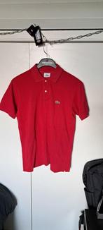 lacoste polo., Kleding | Heren, Polo's, Lacoste, Zo goed als nieuw, Ophalen, Rood