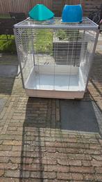 Rattenkooi, Dieren en Toebehoren, Ophalen, Gebruikt, Muis, 90 cm of meer