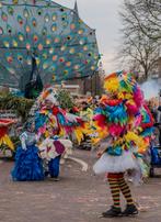 Carnavalskleding:Vogel Thema - 4 Pakken, Ophalen of Verzenden, Gedragen, Carnaval, Kleding