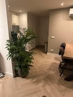 Partij The Diamonds click PVC incl. ondervloer (+- 13m2), Huis en Inrichting, Stoffering | Vloerbedekking, Ophalen, Beige, Overige typen