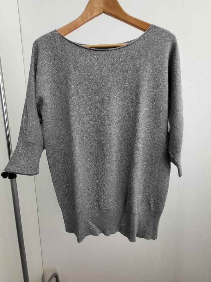 Zilvergaren trui mt 40, Kleding | Dames, Truien en Vesten, Zo goed als nieuw, Maat 38/40 (M), Grijs, Ophalen of Verzenden
