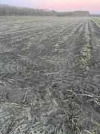 Landbouwgrond te huur, Ophalen