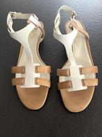 Sandaaltjes van het merk Tod's, Kleding | Dames, Schoenen, Bruin, Zo goed als nieuw, TOD'S, Sandalen of Muiltjes