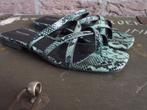 Nieuwe Slippers maat 37, Slippers, Nieuw, Ophalen of Verzenden, Graceland