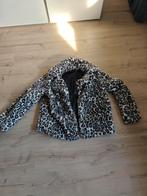Jas Hema maat xl, Kleding | Dames, Ophalen of Verzenden, Zo goed als nieuw, Maat 46/48 (XL) of groter