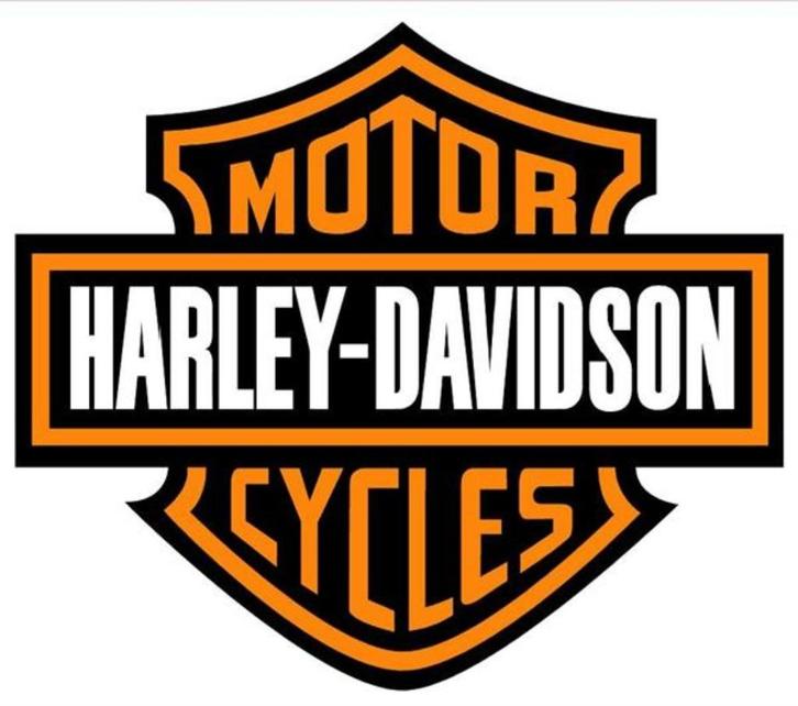 Werkplaatsboek voor bijna elke Harley -Davidson- BUELL, Motoren, Handleidingen en Instructieboekjes, Harley-Davidson of Buell