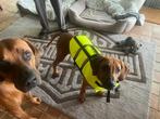Nobby Hondenzwemvest maat L, Dieren en Toebehoren, Ophalen, Zo goed als nieuw, Hondenzwemvest