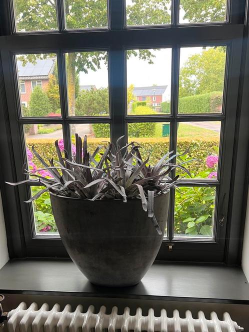 Als nieuw! Set van 2 grote vazen met siergras, Huis en Inrichting, Woonaccessoires | Vazen, Zo goed als nieuw, Overige kleuren