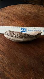 Fossiel van een vis, Verzamelen, Ophalen of Verzenden, Fossiel