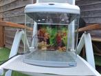 SuperFish aquarium 30x30x30cm, Dieren en Toebehoren, Vissen | Aquaria en Toebehoren, Ophalen, Zo goed als nieuw, Leeg aquarium