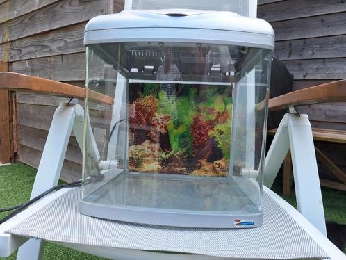 SuperFish aquarium 30x30x30cm, Dieren en Toebehoren, Vissen | Aquaria en Toebehoren, Zo goed als nieuw, Leeg aquarium, Ophalen