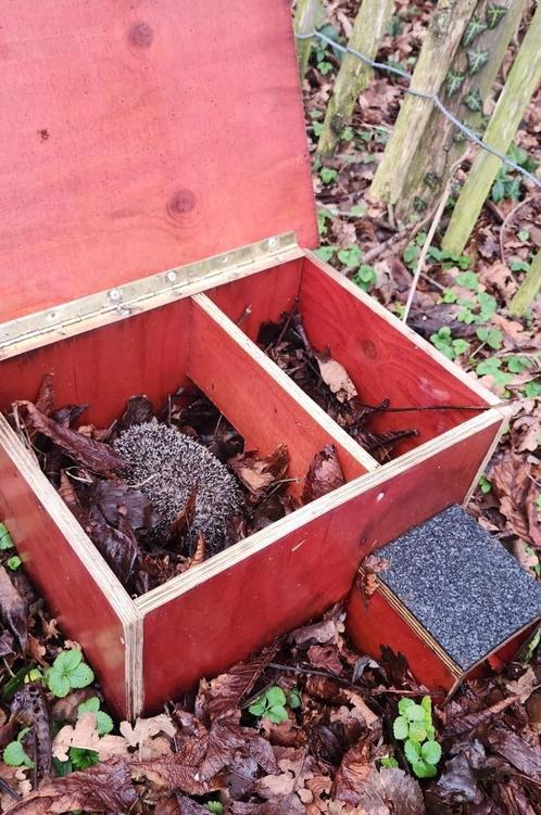 Stevig egelhuisje van betonplex met bitumen dak, Dieren en Toebehoren, Overige Dieren-accessoires, Nieuw, Ophalen of Verzenden