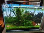 Mooi aquarium Superfish Scaper 60 L. + aquariumkast., Ophalen, Zo goed als nieuw, Leeg aquarium
