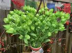 Nieuwe kunsttakken/ kunsttak/ gemeng boeket/ kunstbloemen, Binnen, Info@rodebeagle.nl, Rode Beagle Kunstbloemen, Nieuw