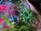 Aquarium 80x38x40., Dieren en Toebehoren, Vissen | Aquaria en Toebehoren, Ophalen of Verzenden, Zo goed als nieuw