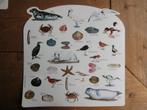 Placemats met strandthema: zeehonden, schelpen, zeevogels, Huis en Inrichting, Woonaccessoires | Onderzetters, Ophalen of Verzenden