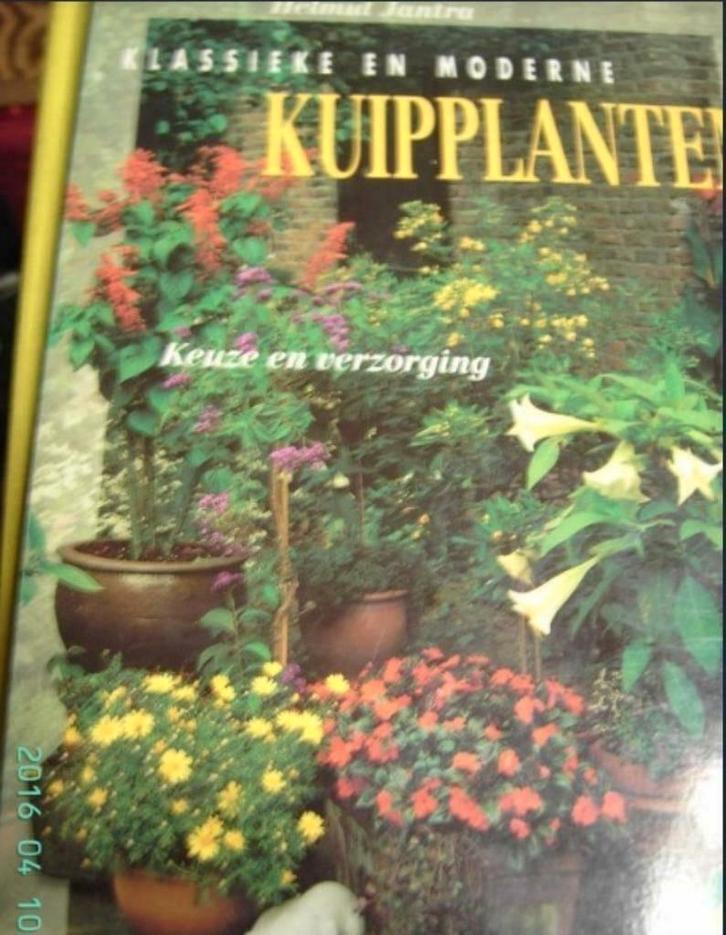 Klassieke en moderne kuipplanten, Boeken, Wonen en Tuinieren, Zo goed als nieuw, Tuinieren en Tuinplanten, Ophalen of Verzenden