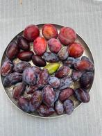 Blauwe pruimen, diverse appelsoorten en peren: € 1,5 / kilo, Huis en Inrichting, Banken | Bankstellen, Ophalen of Verzenden, Minder dan 150 cm