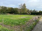 Stallen te huur met weidegang & paddocks!, Dieren en Toebehoren, Stalling en Weidegang, Weidegang, 4 paarden of pony's of meer