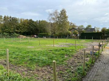  Stallen te huur met weidegang & paddocks!  beschikbaar voor biedingen