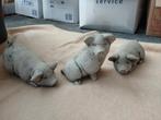 Betonnen Varkentjes - Tuin Decoratie Set, Ophalen, Zo goed als nieuw, Beton, Dierenbeeld