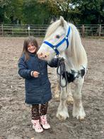 Tinker merrie. & Mini shet te koop kinderen gewend., 3 tot 6 jaar, C pony (1.27m tot 1.37m), Gechipt, Onbeleerd