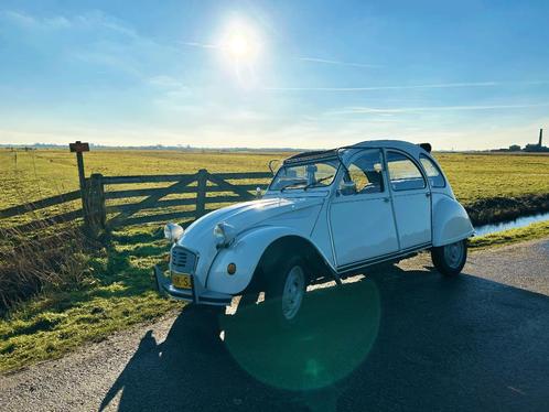 Witte Citroën 2CV te huur als trouwauto, Diensten en Vakmensen, Verhuur | Auto en Motor, Trouwauto, Met chauffeur
