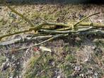 Takken en stammen, Tuin en Terras, Haardhout, Minder dan 3 m³, Ophalen of Verzenden, Overige houtsoorten, Takken