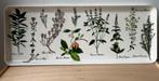 Vintage dienblad met botanische afbeelding Mebel 38x15 cm, Ophalen of Verzenden, Kunststof
