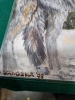 Poster wolf en indiaan, Ophalen of Verzenden