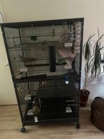 Prachtige knaagdieren  of vogelkooi, Minder dan 60 cm, Kooi, Ophalen of Verzenden, Zo goed als nieuw