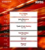 1x ticket Soenda 22 nov (by day), Eén persoon