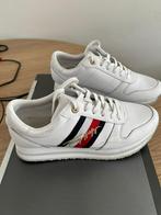 Tommy Hilfiger sneakers / schoenen, Ophalen of Verzenden, Gedragen
