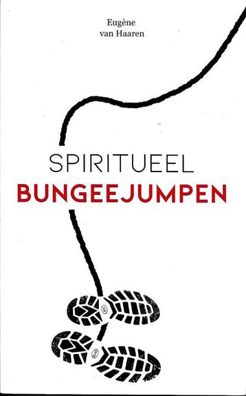 Spiritueel bungeejumpen - Eugene van Haaren beschikbaar voor biedingen