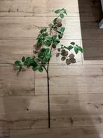 Decoratieve tak voor binnen 120cm, Ophalen of Verzenden, Zo goed als nieuw, Binnen