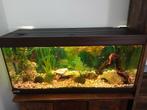 Ruilen aquarium 120 cm voor 80cm, Dieren en Toebehoren, Ophalen, Verlichting of Verwarming