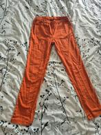 Oranje broek maat 38, Maat 38/40 (M), Oranje, Ophalen of Verzenden, Zo goed als nieuw