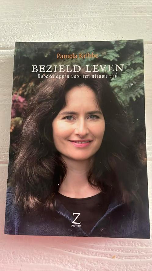 Pamela Kribbe - Bezield leven, Boeken, Esoterie en Spiritualiteit, Zo goed als nieuw, Achtergrond en Informatie, Ophalen of Verzenden