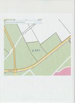Te Koop bosgrond 1,5 ha noordoost N.-Brabant, Huizen en Kamers, Kavels en Percelen, Verkoop zonder makelaar, 1500 m² of meer