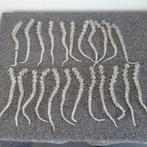 23 strengen pegels diamant parels onderdelen kroonluchter, Ophalen of Verzenden, Gebruikt, Glas