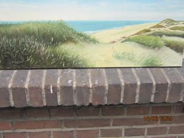 Mooi Los strandgezicht in langgerekt tafereel gesign. beschikbaar voor biedingen