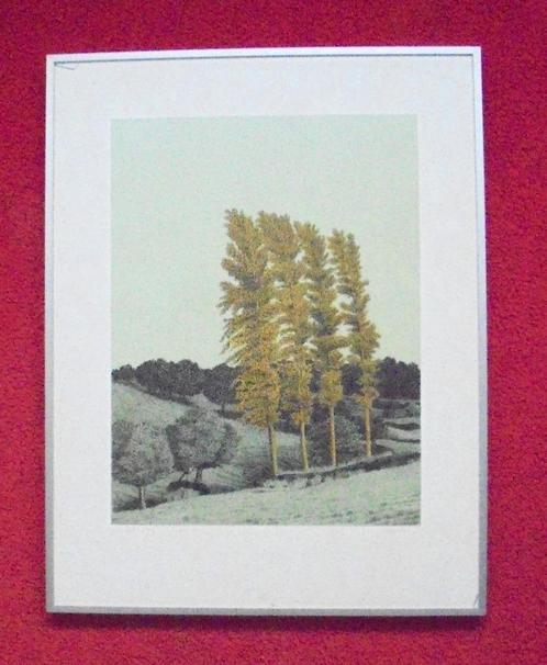Sees Vlag.1934-2018.Geuldal., Antiek en Kunst, Kunst | Litho's en Zeefdrukken, Ophalen