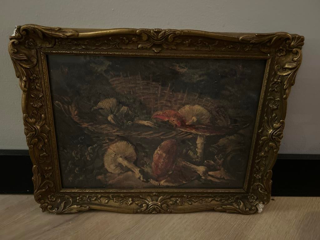 Vintage prent met Paddestoelen in Gouden Lijst, Antiek en Kunst, Kunst | Schilderijen | Klassiek, Ophalen of Verzenden