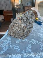 Grote selectie dragonstones aquarium, Ophalen of Verzenden, Gebruikt, Gevuld zeewateraquarium