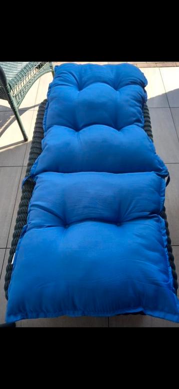 Tuinkussens blauw 2x - Zo Goed Als Nieuw beschikbaar voor biedingen