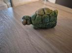 Schildpad, Ophalen of Verzenden, Zo goed als nieuw, Dier