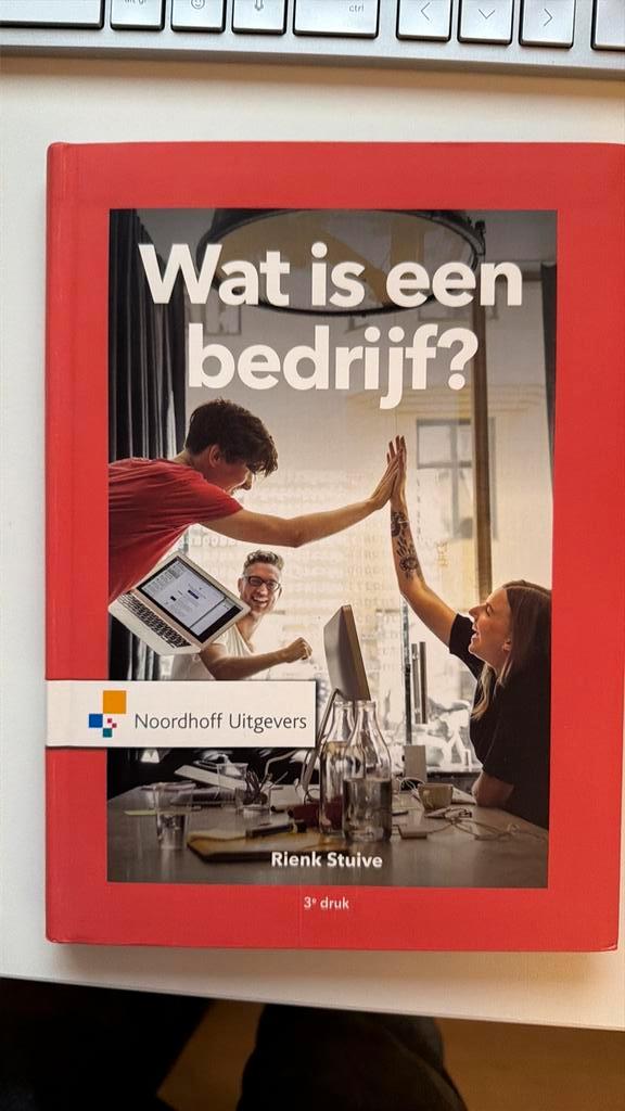 Rienk Stuive - Wat is een bedrijf?, Boeken, Wetenschap, Zo goed als nieuw, Sociale wetenschap, Ophalen of Verzenden